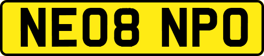 NE08NPO