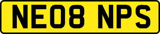 NE08NPS
