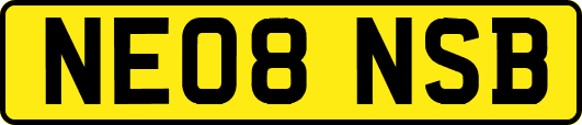 NE08NSB