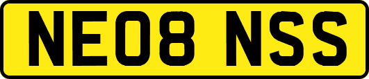 NE08NSS