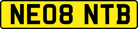 NE08NTB