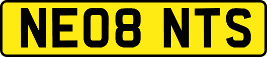 NE08NTS