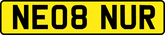 NE08NUR