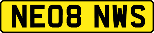 NE08NWS