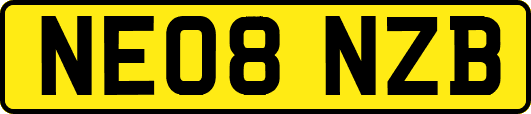 NE08NZB