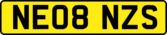 NE08NZS