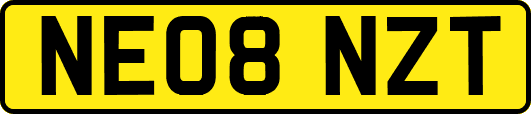 NE08NZT
