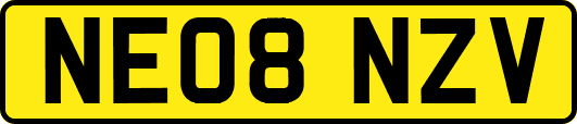 NE08NZV