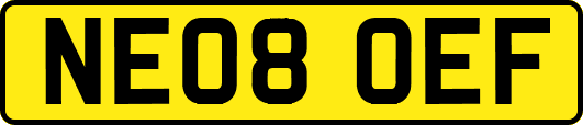 NE08OEF