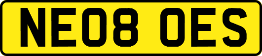 NE08OES