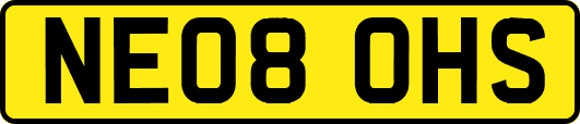 NE08OHS