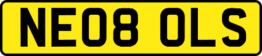 NE08OLS