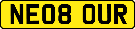 NE08OUR