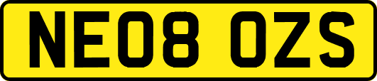 NE08OZS