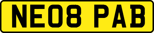 NE08PAB