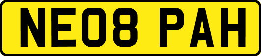 NE08PAH
