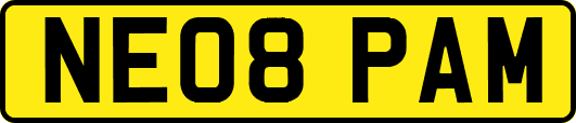NE08PAM