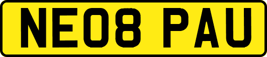 NE08PAU