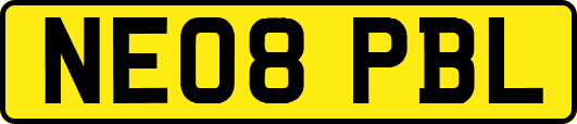 NE08PBL