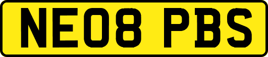 NE08PBS