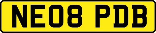 NE08PDB