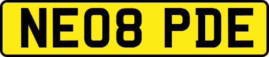 NE08PDE