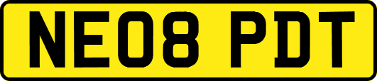 NE08PDT