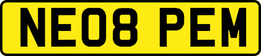 NE08PEM