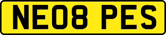 NE08PES