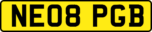 NE08PGB