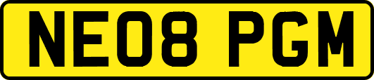 NE08PGM