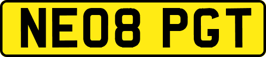 NE08PGT
