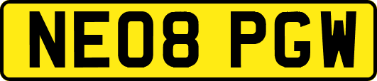 NE08PGW