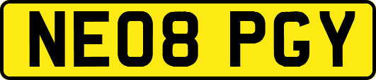 NE08PGY