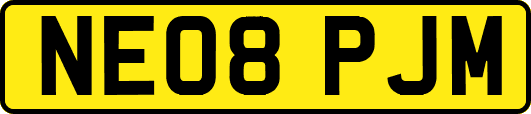 NE08PJM