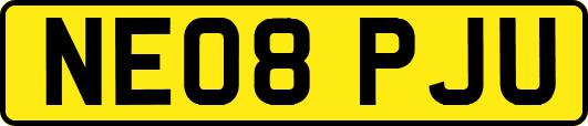 NE08PJU