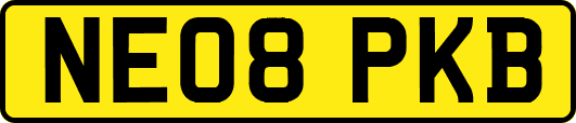 NE08PKB