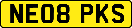 NE08PKS