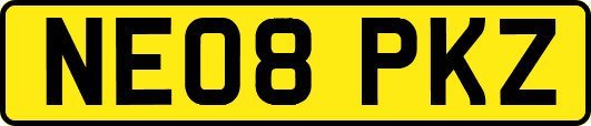 NE08PKZ