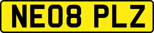NE08PLZ