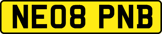 NE08PNB