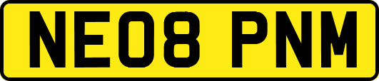 NE08PNM