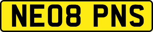 NE08PNS