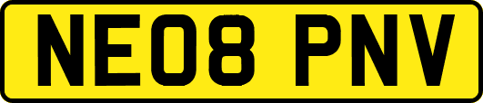NE08PNV
