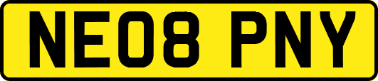NE08PNY