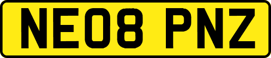 NE08PNZ