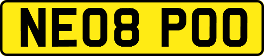 NE08POO