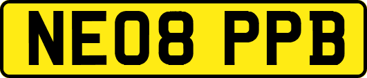 NE08PPB