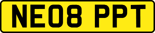 NE08PPT