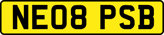 NE08PSB